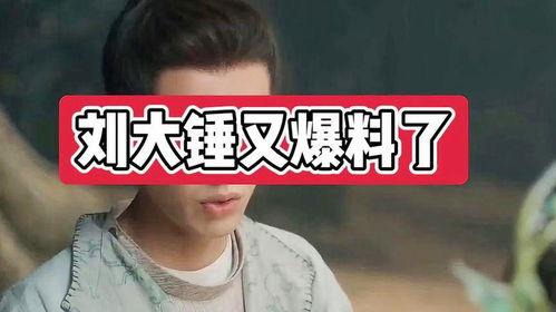 刘大锤独家爆料视频全集,揭秘视频全集背后的惊人真相